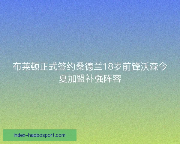 布莱顿正式签约桑德兰18岁前锋沃森今夏加盟补强阵容